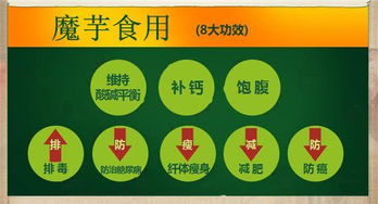 天燁食品科技 結(jié)構(gòu)粉技術(shù)引領(lǐng)全素、半素香腸與肉糜制品新風(fēng)向